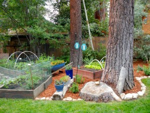 Karen and Billy Hayes grow a variety of veggies in their back yard.