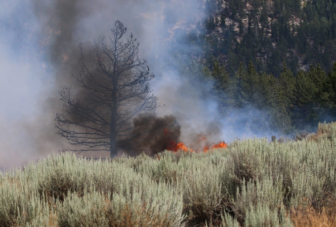 Flames shoot up July 19 from a fire in Rabe Meadow. Photos/Ray Fugitt