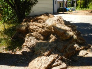 This is sod from 3.5 rows. South Tahoe Refuse will pick it up if it's bagged or in cans. 
