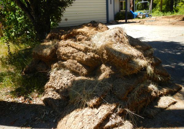 Calif. offering rebates on toilet, turf replacement