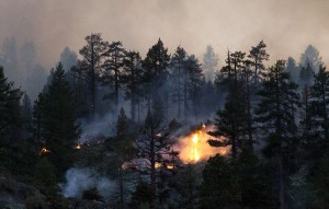 The Washington Fire for several days threatened the town of Markleeville. Photo/Carolyn E. Wright/Copyright