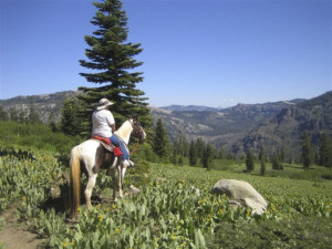 An equestrian rides near Lyons Ridge on the property purchased in the Sierra Nevada by the Northern Sierra Partnership founded by Silicon Valley leaders Jim and Becky Morgan, along with the American River Conservancy and Nature Conservancy.  (American River Conservancy)