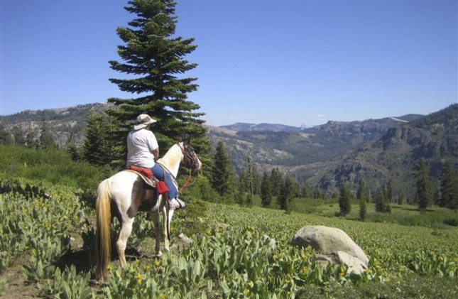 10,000 acres in Sierra Nevada protected