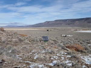Scientists in the University of Nevada, Reno’s Nevada Seismological Laboratory placed additional earthquake sensors in and around the Sheldon Wildlife Refuge in far northwest Nevada where a swarm of earthquakes has been active for more than a year, with several greater than magnitude 4.0 events. Photo courtesy of University of Nevada, Reno.