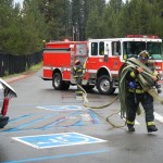sltfd