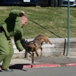 sltpd-k9
