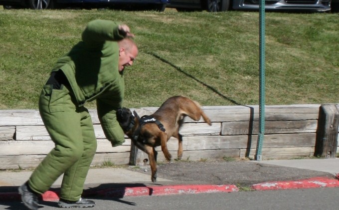 SLTPD K9 program benefits from donation