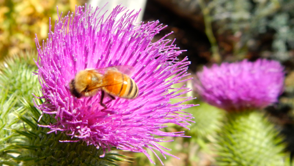 Study: Global warming mixing up nature’s dinner time