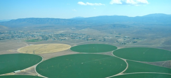 Drought hits Nevada agriculture hard