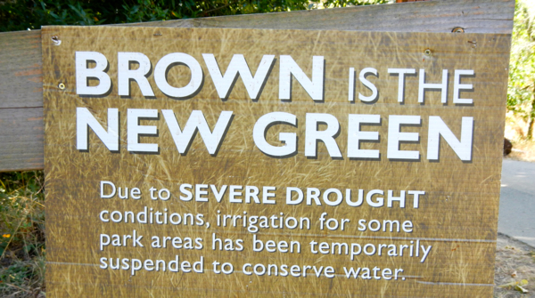 Brown OKs permanent residential water restrictions