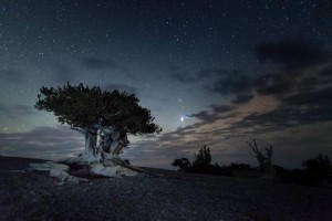 Great Basin National Park in Nevada is known for its dark skies. Photo/National Park Service