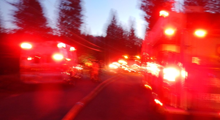 Bay Area duo ID’d as SLT plane crash victims