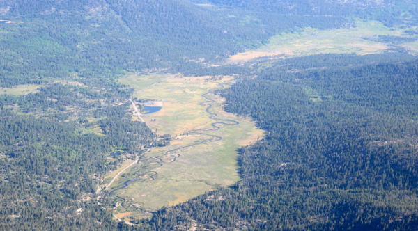 Preservation of Hope Valley meadow is in the works. Photo/Provided