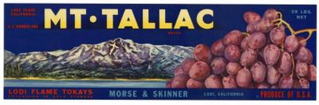 Photo/Lake Tahoe Historical Society