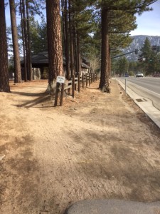 The current trail is dirt and tree roots in places. Photo/LTN