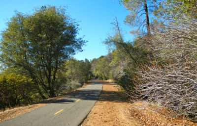 The El Dorado Trail is a reminder even in Placerville the county is rural. Photo/LTN file