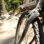 Sidewinder/Lower Corral bike ride with Brenda Stewart