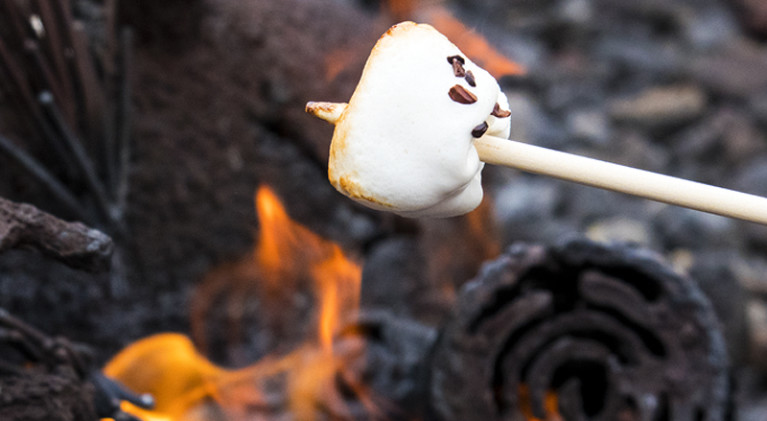Ritz-Carlton elevates s’mores to a higher level