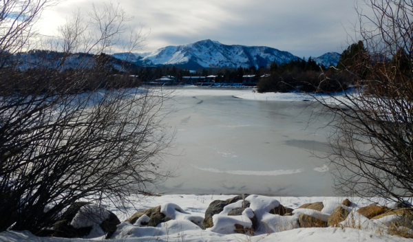 This lagoon at the Tahoe Keys will be filled in when the Upper Truckee Marsh is restored. Photo/Kathryn Reed