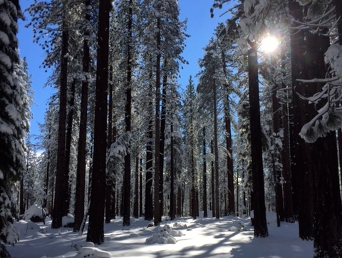 Storms bring excitement to parched Calif.
