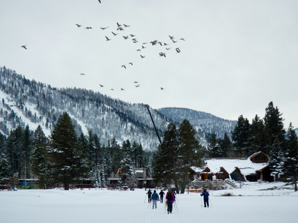 Edgewood Tahoe goes from golf course to cross country trail.
