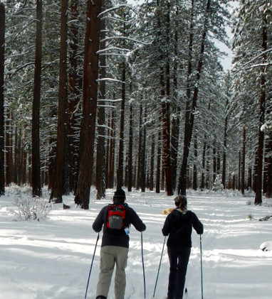 Snippets about Lake Tahoe