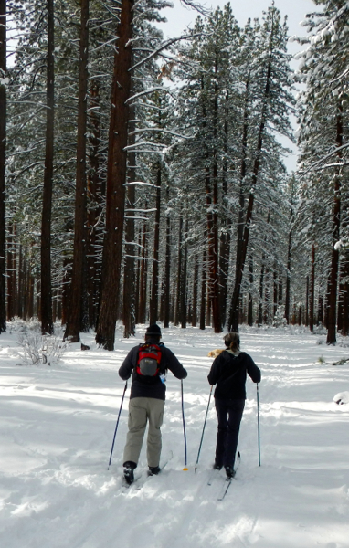 Starting out the trek is through the woods.