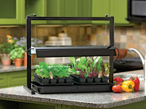 Energy efficient and long lasting high intensity grow lights will provide the greatest yields when growing tomatoes and other fruiting plants indoors. Photo/Gardener’s Supply Company