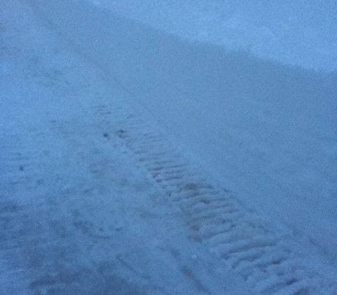 Foot of snow overnight closes some Tahoe schools
