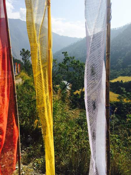 Bhutanese prayer flags flutter in the wind. Photo/Toni Neubauer
