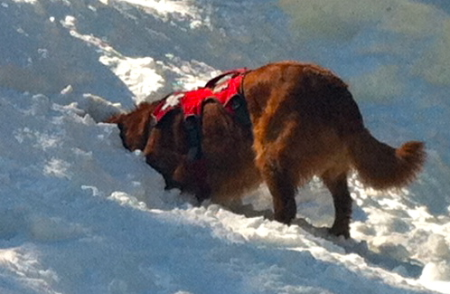 Free avalanche beacon seminar on North Shore