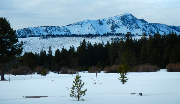 The Angora burn area is visible just below Mount Tallac.