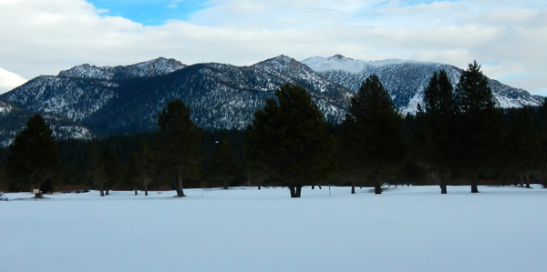 Plenty of virgin snow to ski through.