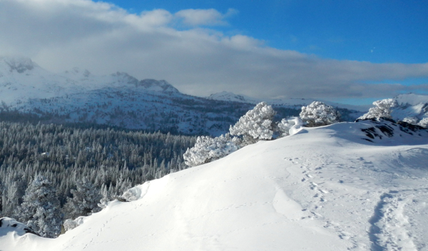 Avalanche warning issued for LT Basin