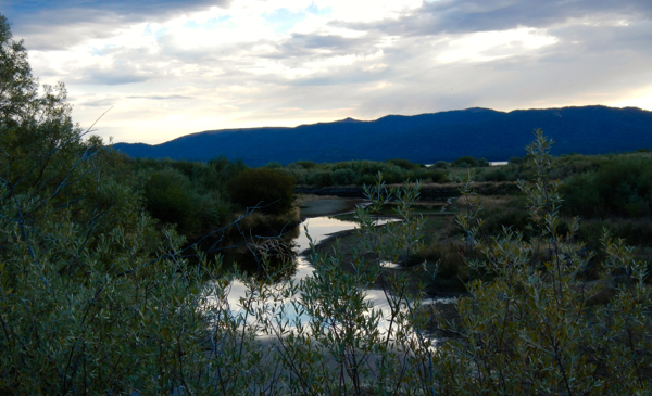 Funding for the Upper Truckee Marsh project in South Lake Tahoe is not included in the state's 2016-17 proposed budget. Photo/LTN