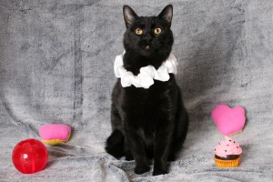 Mewtoo