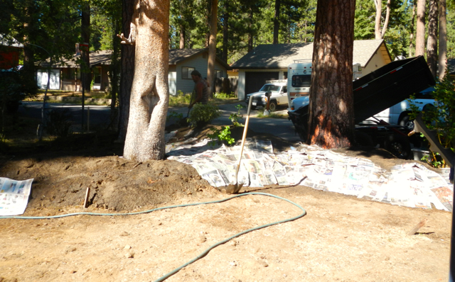 Removing sod is one way South Tahoe PUD customers are saving water. Photo/LTN