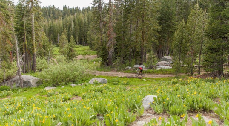 Popular Tahoe area trailhead now publicly owned