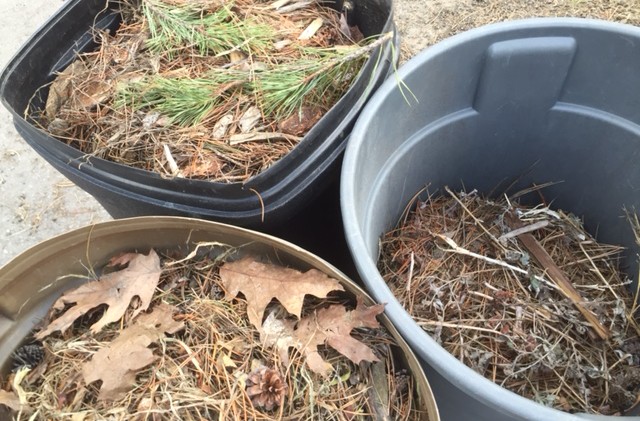 STR planning to improve green waste recycling