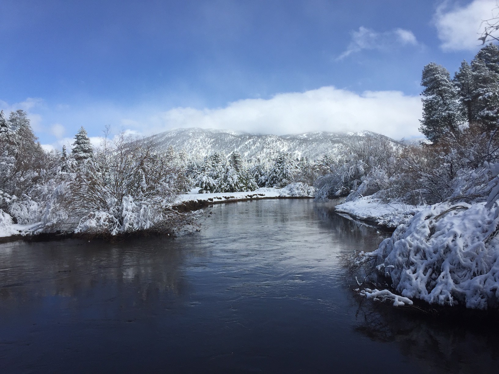 The Upper Truckee River on March 6 is higher than is has been in years. Photo/Kathryn Reed