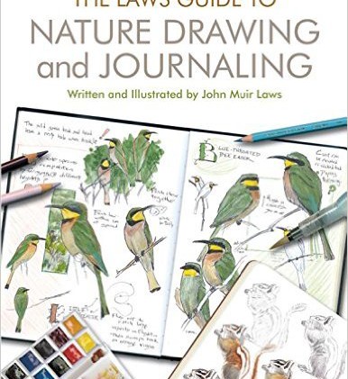 Book review: Learning to see with latest ‘Laws Guide’