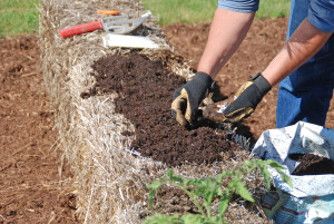 Create a planting bed for seeds by covering the straw bale with a one- to two-inch layer of planting mix. Photo/Melinda Myers, LLC