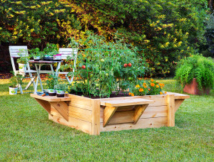  Raised bed gardens with benches make it easier to plant, maintain and harvest. Photo credit: Bonnie Plants  
