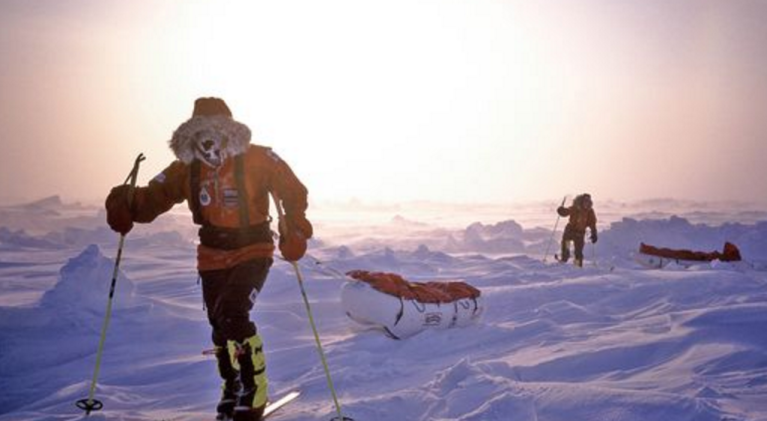Polar experiences — broken teeth, wild bears