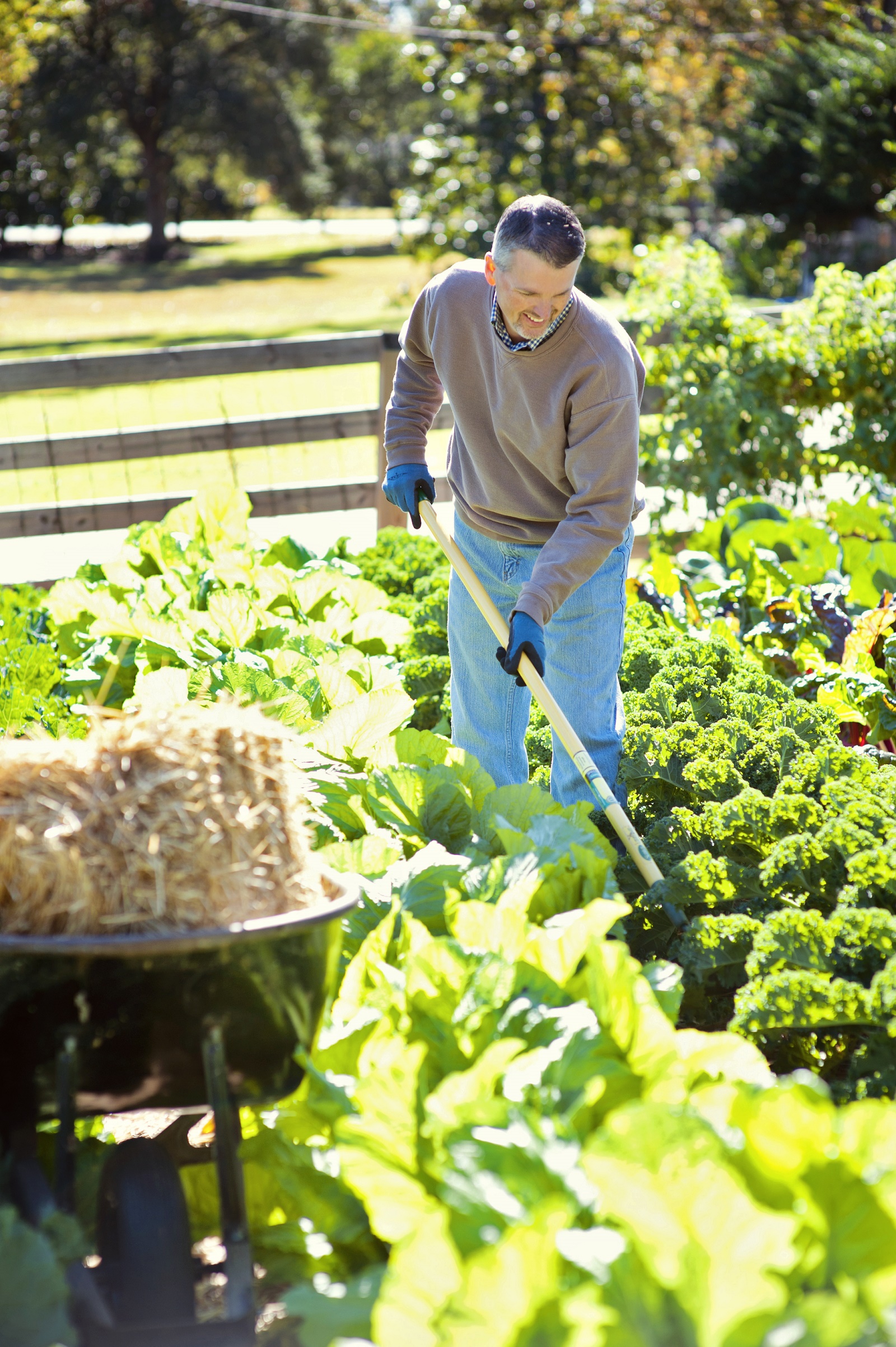 Intensive planting and low maintenance techniques can increase a garden’s harvest, but not the size of the garden or the workload. Photo/Bonnie Plants