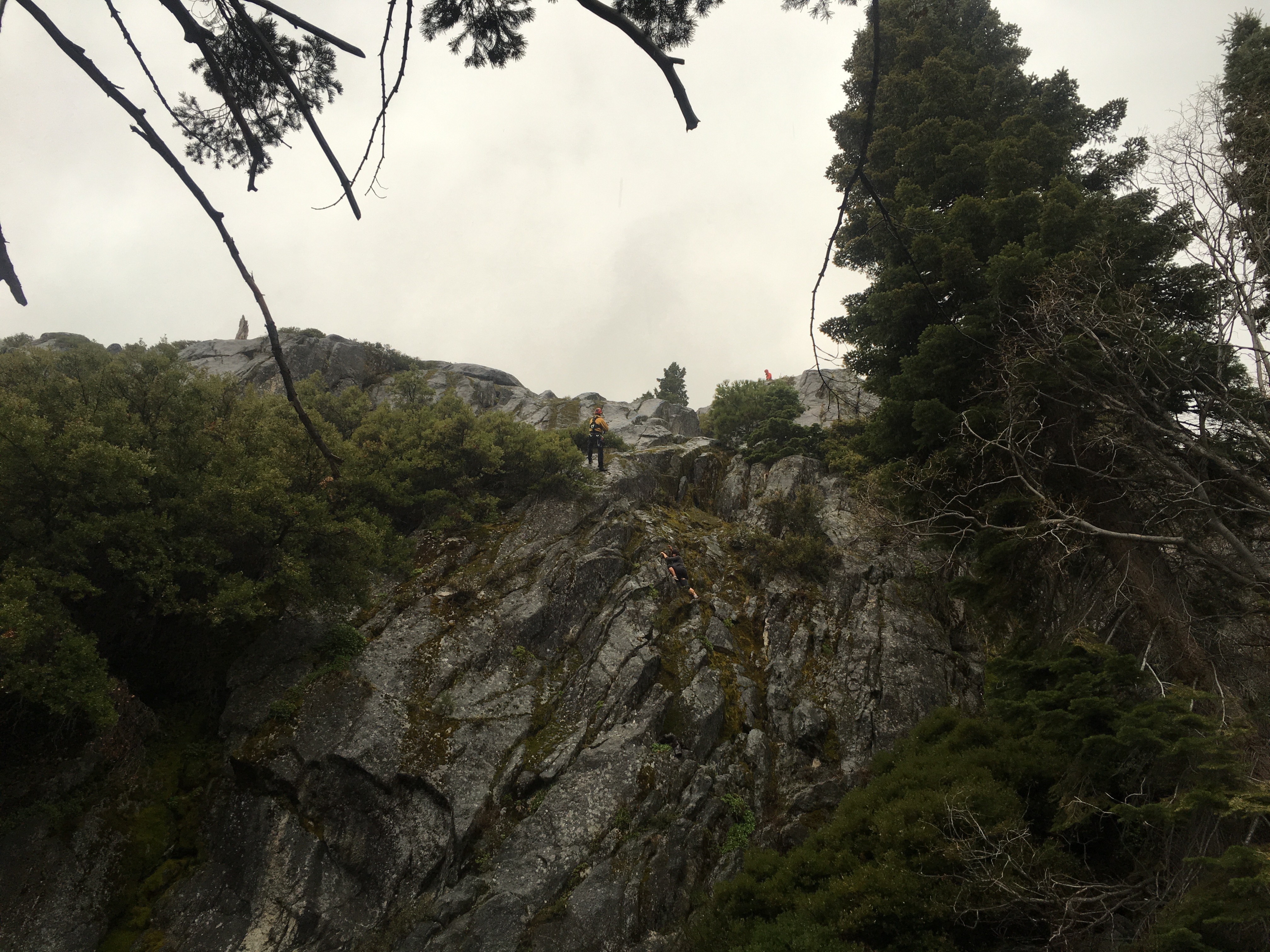 El Dorado County SAR brings a woman to safety May 5 at Emerald Bay. Photo/EDSO