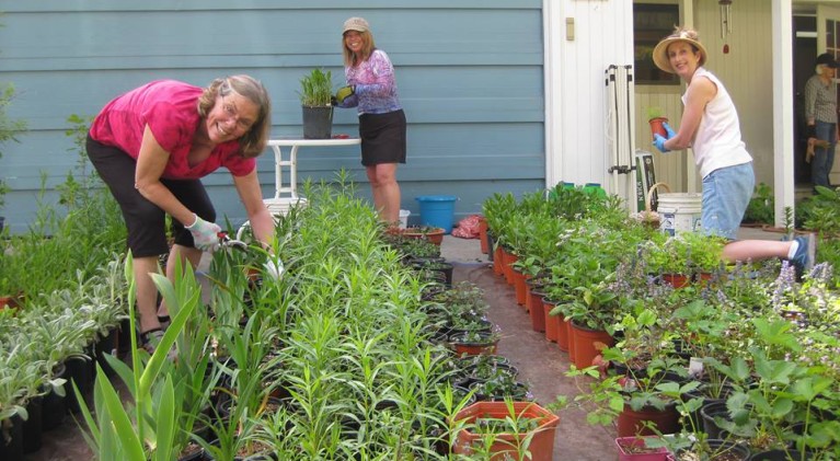 Master gardeners putting on educational plant sale