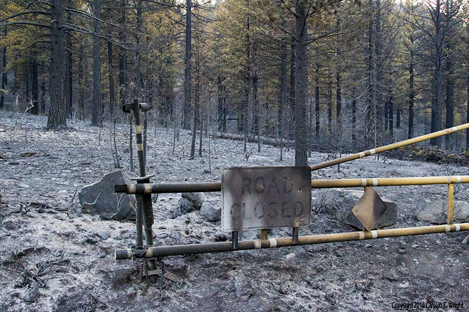 The lightning-induced Washington Fire that threatened Markleeville was the closest fire to the basin in 2015. Photo Copyright 2016 Carolyn E. Wright