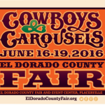 2016 edc fair