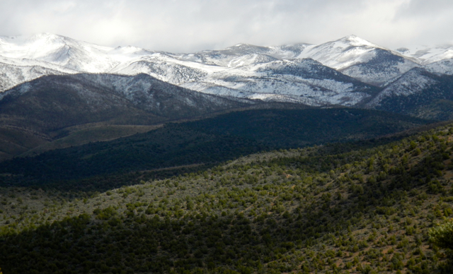 Lush Nevada could be trouble later on